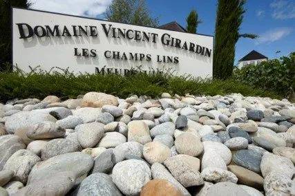 巴洛米洛|勃艮第精品家族酒庄，安慕父子&amp;泊索父子，巴洛米洛&amp;文森特吉拉丹！