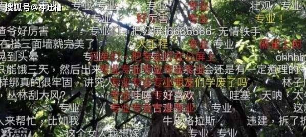 荒野诱惑 - 感官刺激 野外搏斗