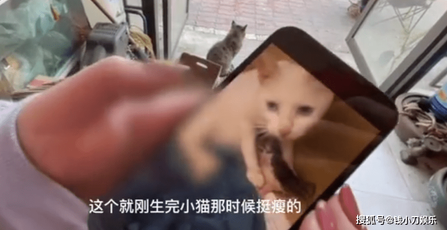 a0a4882b14314c2681f64f423ab599d2.png