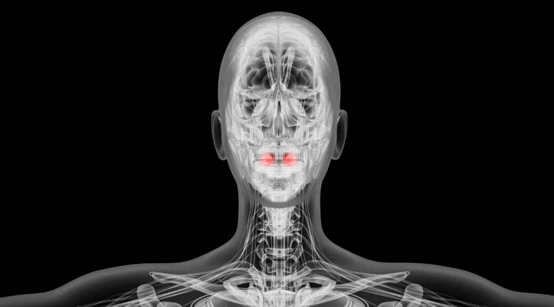 免疫|反复扁桃体炎,别忽视它!