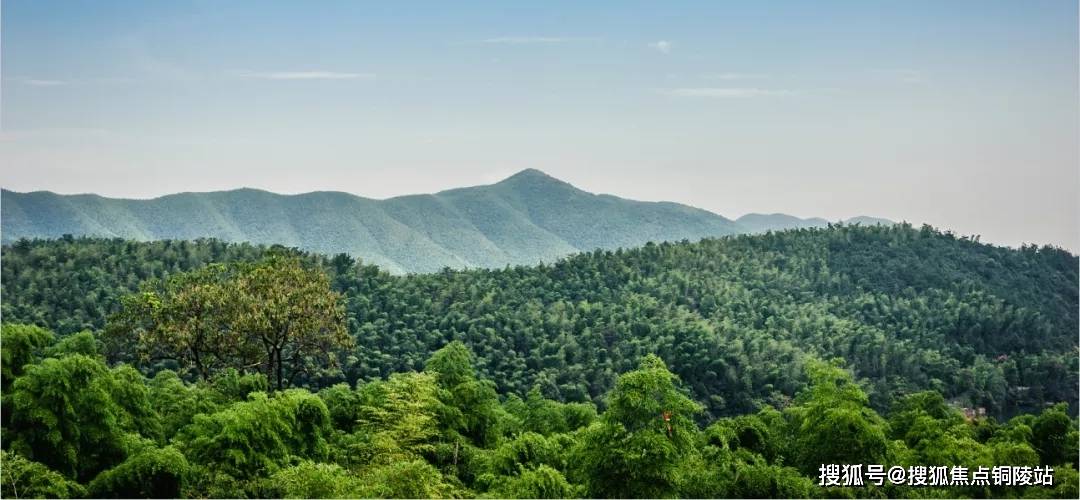 首页:湖州安吉天使小镇望竹山61售楼处电话