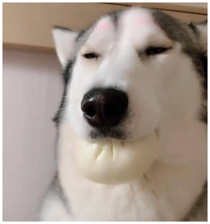 包子女子给二哈包子当早餐，回来觉得不对，仔细一看赶紧拍照发朋友圈