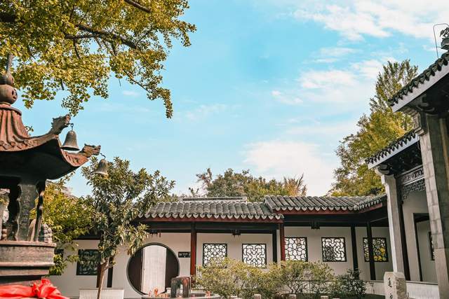 惠山古镇的张中丞庙，两棵400多年前的古银杏，诠释着秋天的颜色