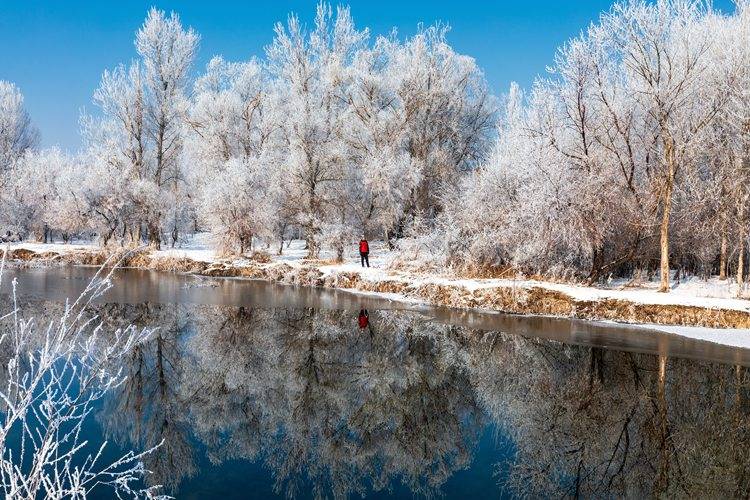 冰雪|去哪看雾凇？昙花一现的冰雪世界，像梦境一般