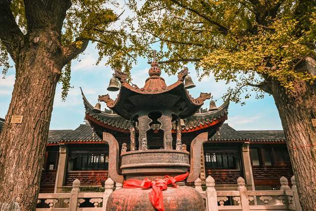 惠山古镇的张中丞庙，两棵400多年前的古银杏，诠释着秋天的颜色