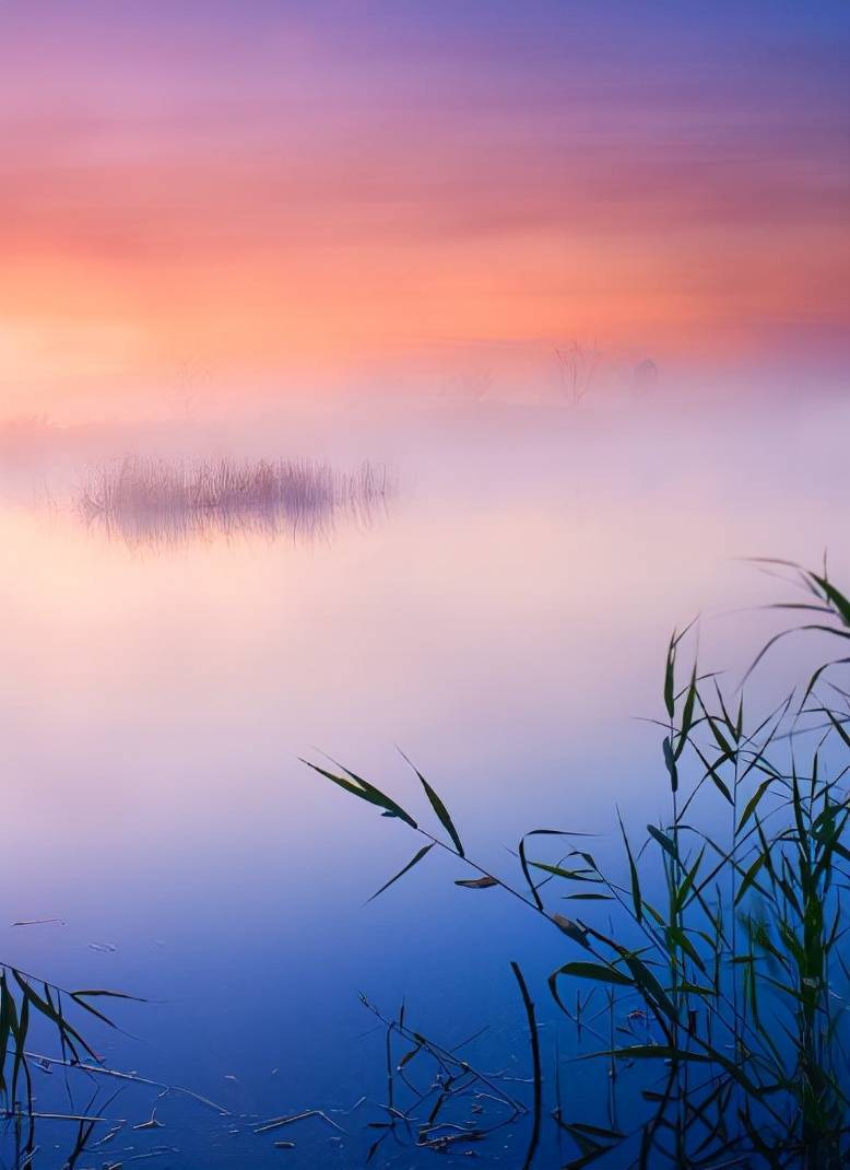 诗词鉴赏红尘来去一场梦八首有关红尘的诗词不如笑对人生