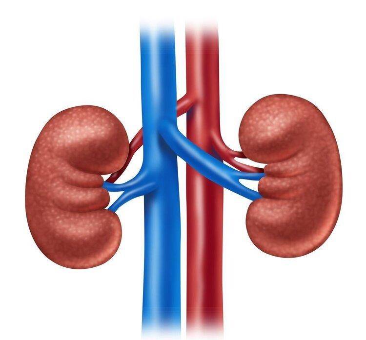 心脏|4个容易要命的慢性病，害死很多中老年！千万小心，冬天更要注意