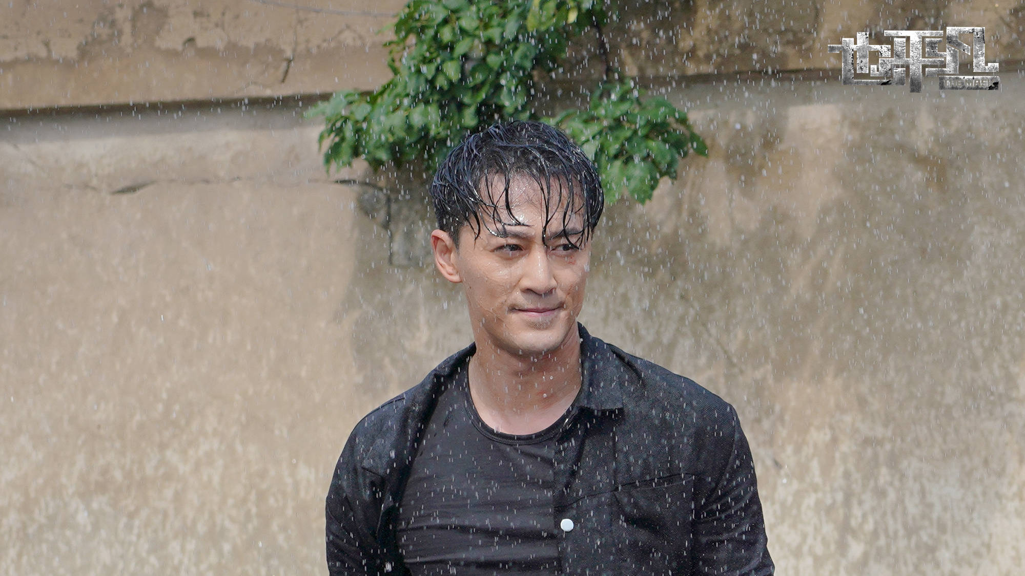 数位|张国立新剧《也平凡》定档，数位老戏骨压阵，网友怕郑恺接不住戏