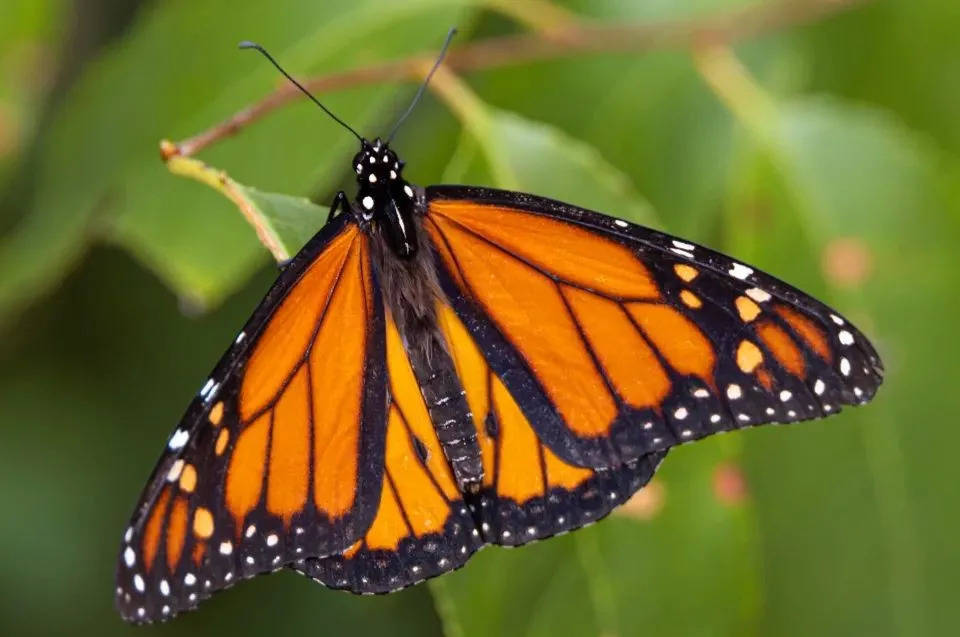 互联网家电品牌不香了!云米科技三季报亏损2930万-家电圈官网