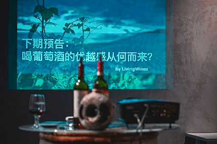 Wine|告别职场emo，微醺才是职场人的正确打开方式