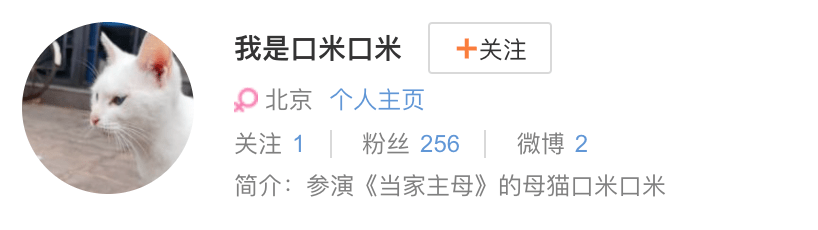 白猫|影视剧博主爆料:已确认于正新剧中的白猫死亡,“拍完就死了扔了”