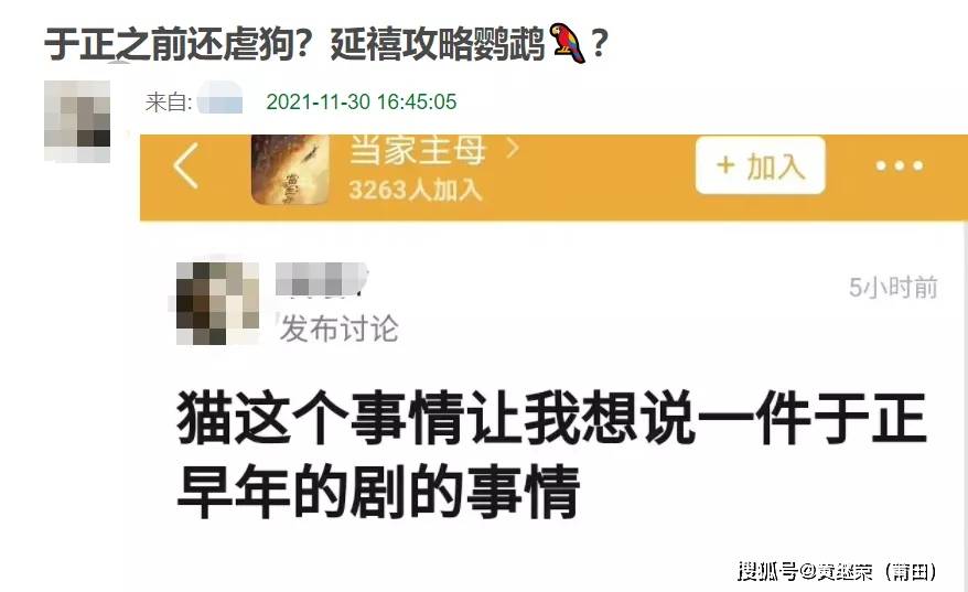 猫咪|于正“虐猫”事件升级：他犯的错，远没有这么简单