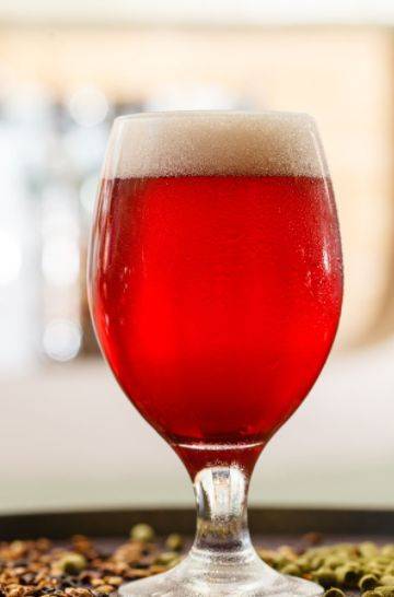 酒知识什么是红啤