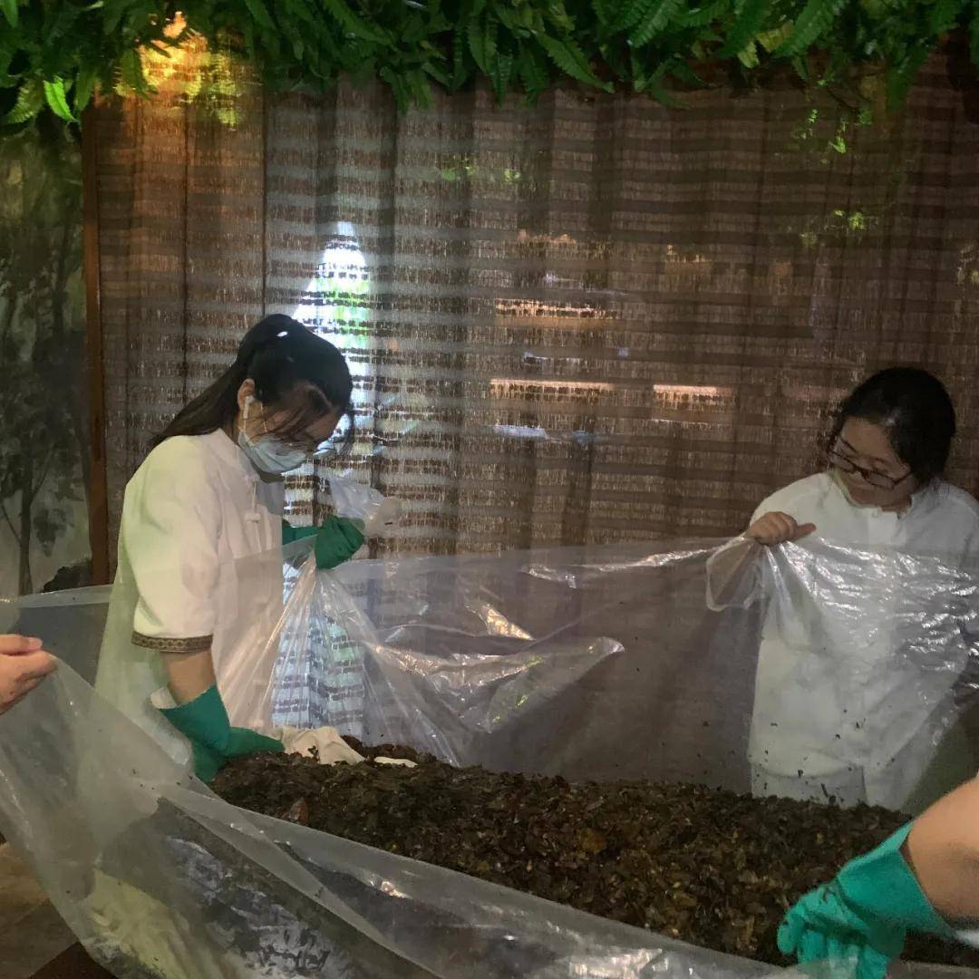 理念|参观考察 | 刘焕兰院士、翟佳滨教授、黄山秘书长携养生专家团队莅临傣益堂！