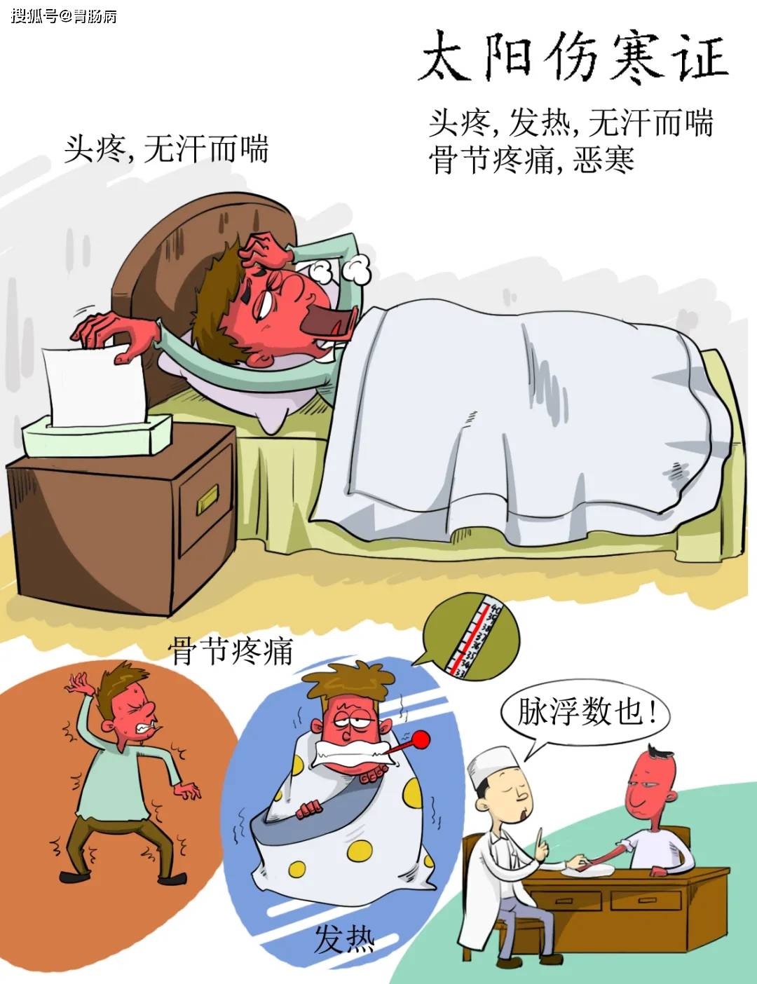 看不懂医圣的《伤寒论》?来看这张图