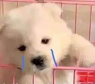 生活|那些经典的同性题材电影，你都看过哪些？