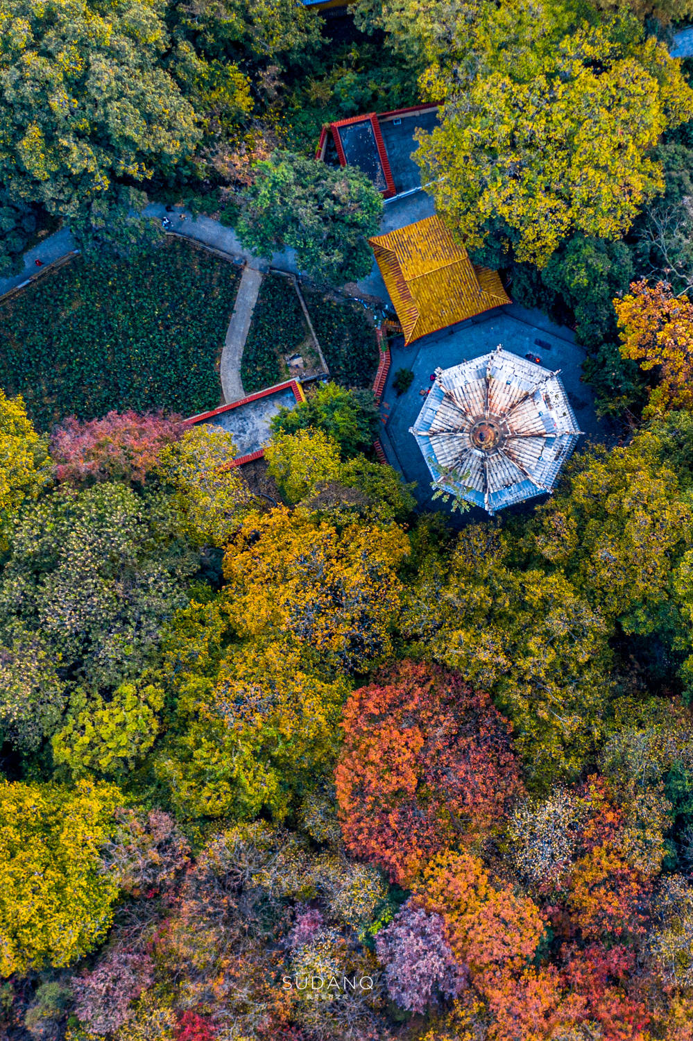 佛门|武汉的这座古寺曾被10位皇帝护持过，已有1600多年历史，门票10元