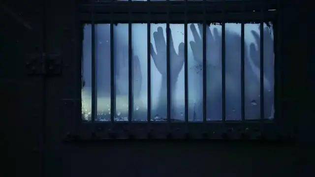 党卫军|这片 是二战中希特勒最疯狂的报复行动