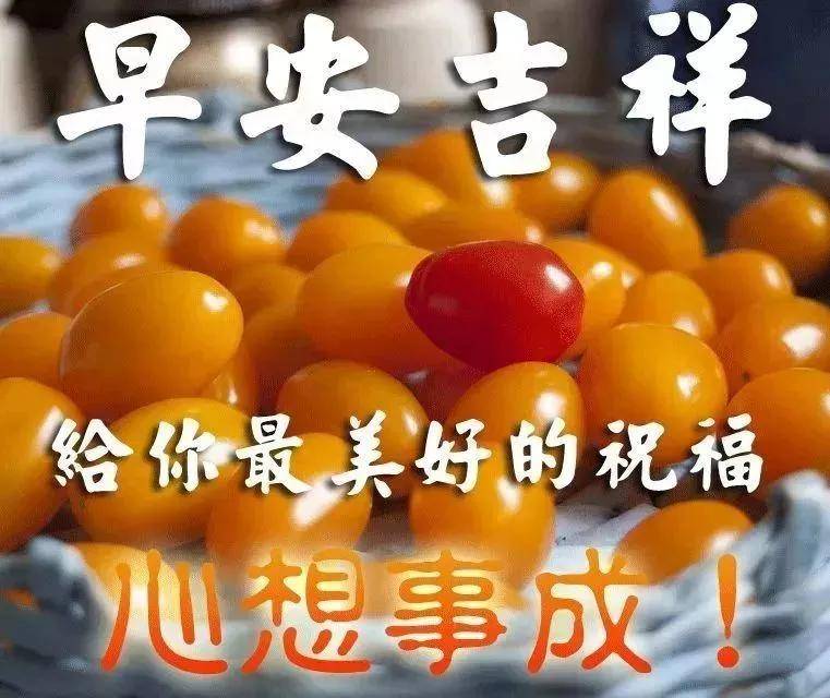 原創寒冷清晨最新版早上好問候暖心圖片微信早上好陽光祝福語圖片