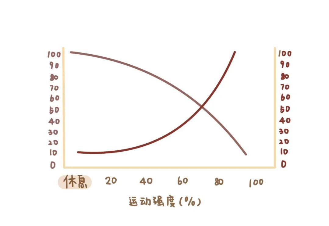 效果|冬天跑步最减脂：但要这样跑才能无伤，悄悄变瘦