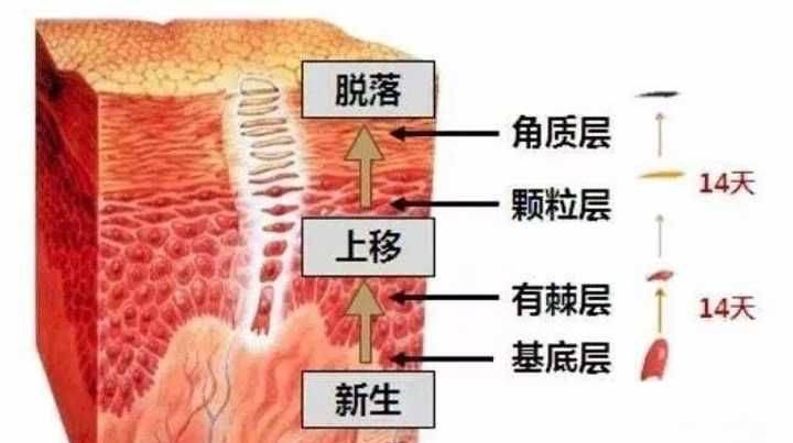 女神4个素颜比化妆还美的女明星