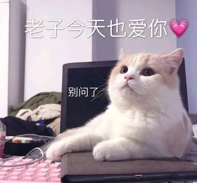 为什么这样表情图片 17b7a1bfeb9e419cbe67caf141cbe771.jpeg