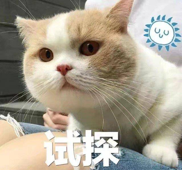 2ce8a57b589148e3889a5dc7a6882326.jpeg