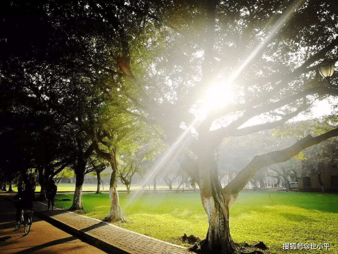 方法|超级轻松起床术,5个实用方法,让你不喝咖啡也能清醒