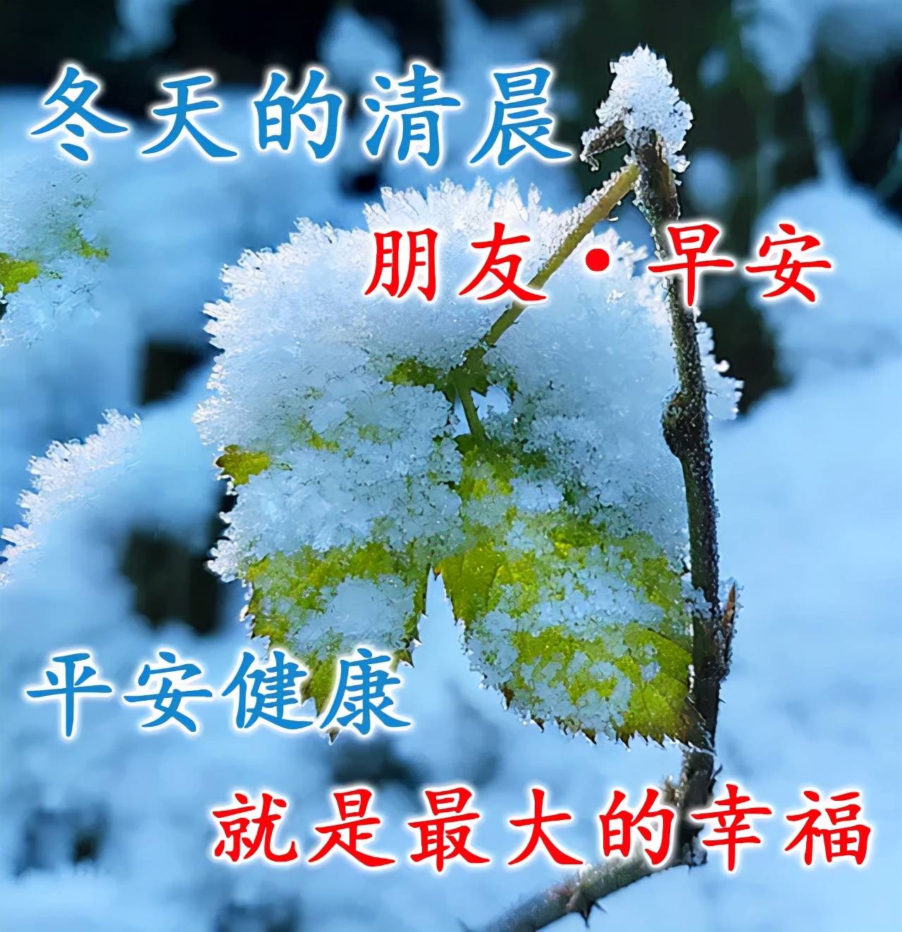 入冬的祝福语图片图片
