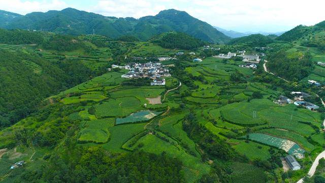 菖蒲塘村的产业突围