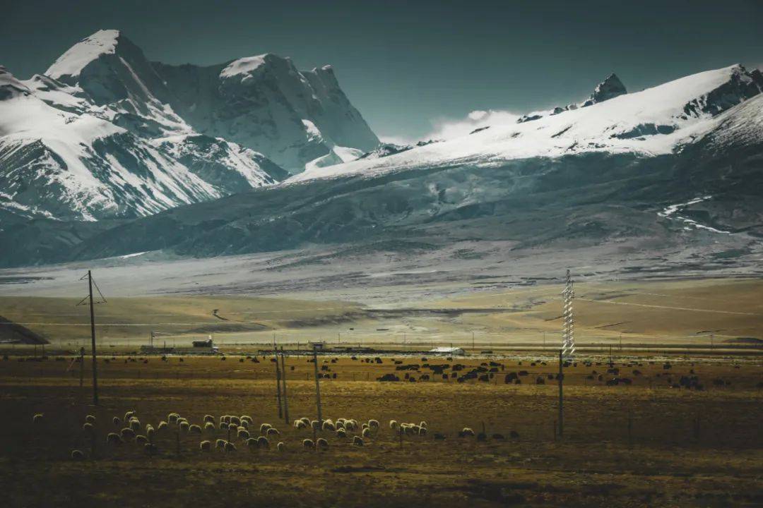 瞬间|不要太美！旅图胜景，动人瞬间，看看你最钟意的风景在哪里？