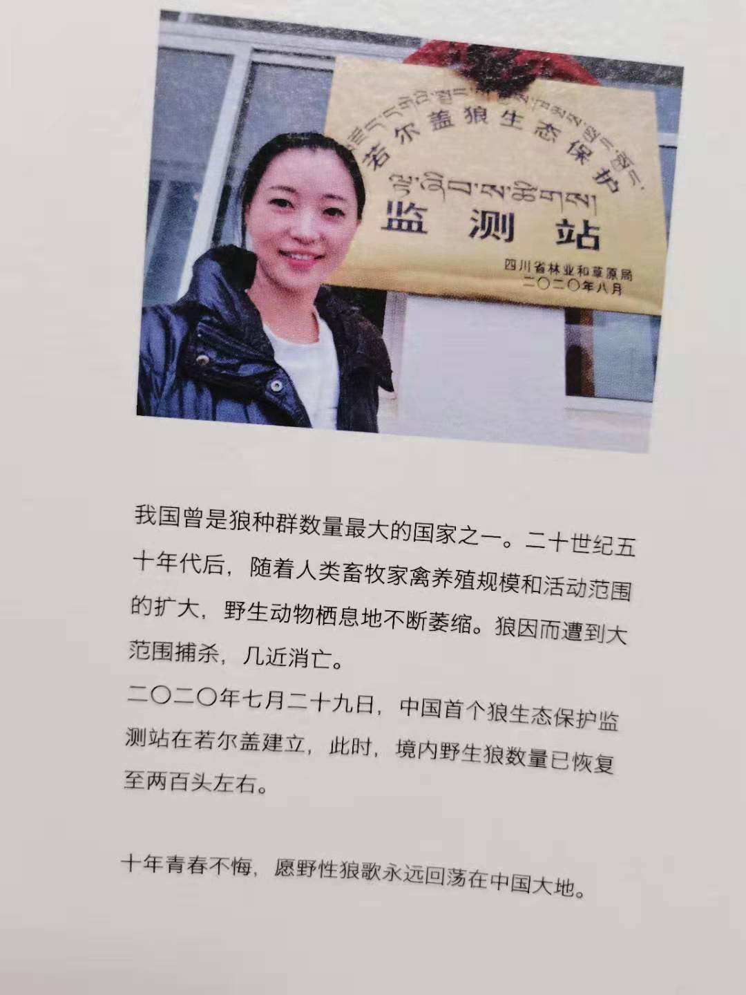 11年前,把狼当儿子带回家的成都女孩,10年后在草原与它再次相认