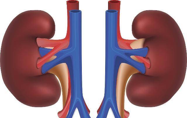 出现泡沫|别让高血糖伤了你的肾！出现这几个信号，千万要警惕！