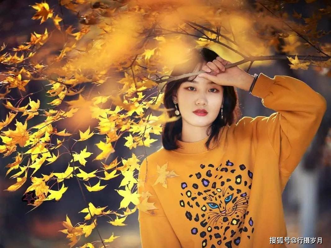 叶落,风起,初冬寒_光阴_秋去_暗处