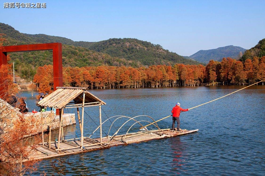 上虞最美红杉林，石井水库，一衣带水