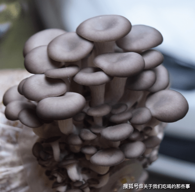 db92de7f62d04461a5aa95c5b4909be5.png