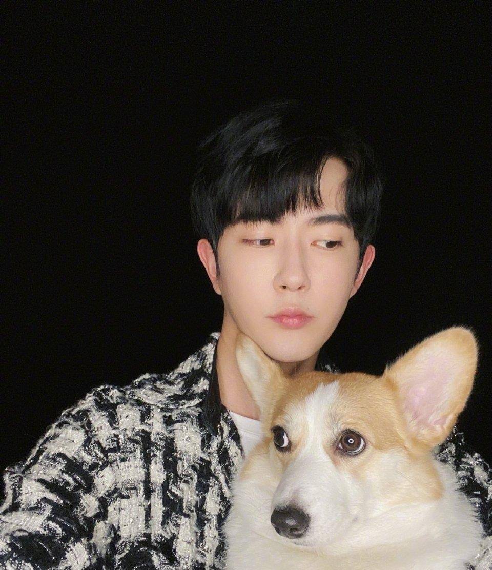 世欢 于朦胧抱萌宠晒近照,穿黑白格子衬衫清新脱俗,娃娃脸太爱了