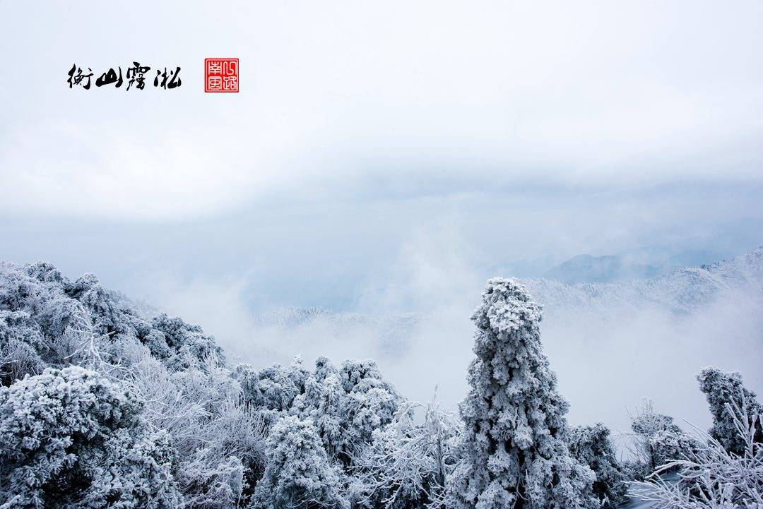 广东|湖南也能看到雾凇，就在南岳衡山，太美了！