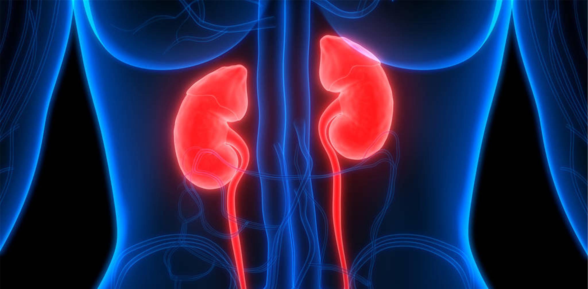 关键|不想肾病发展成肾衰竭,肾友要抓住5个关键时间点,减轻肾脏负担