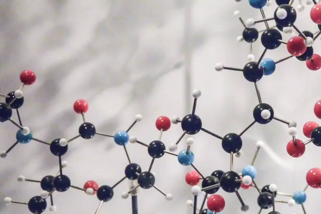 什么是碳水化合物有什么作用 aba483a15efb45968d02dc7c987e712e.jpeg