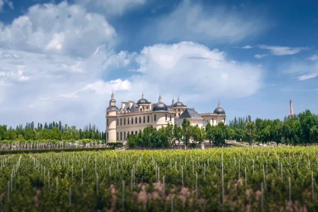 全球|2021全球顶级葡萄酒TOP100,龙谕成中国唯一入选酒款