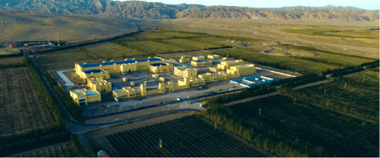 葡萄|金恪产业版图系列报道 | 新疆故事:罄玉在博斯腾湖畔起舞