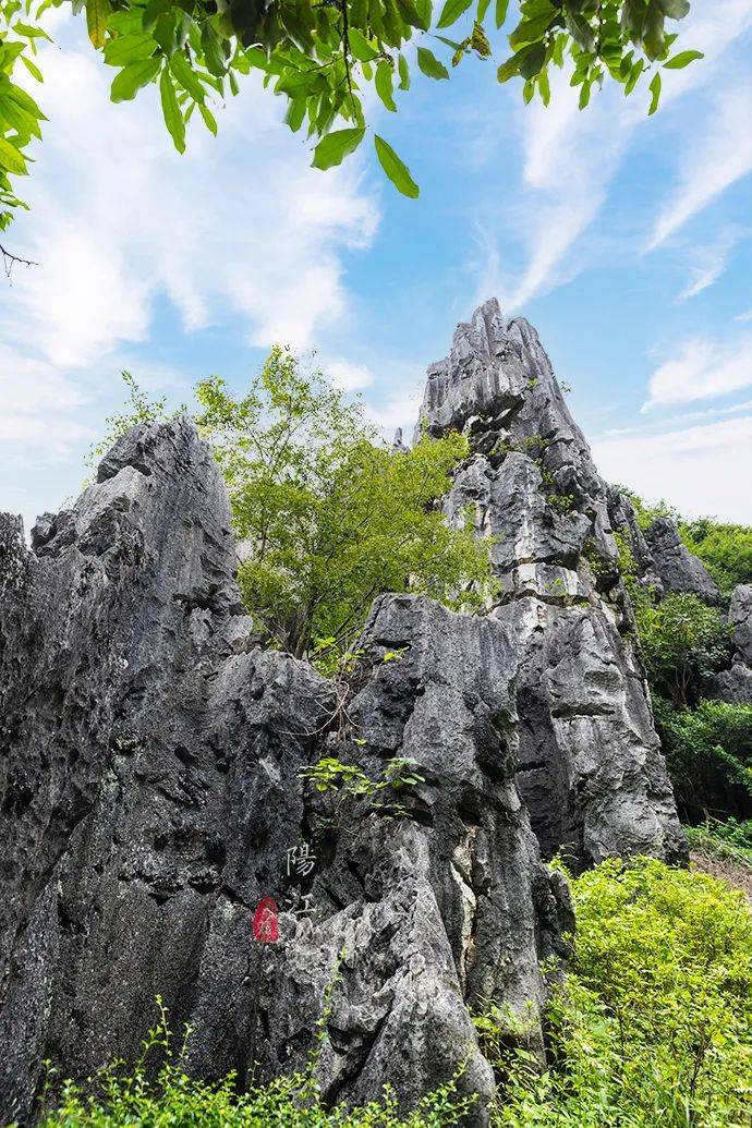 风景|广东“小桂林”有处石林，奇绝雄壮，20多部影视大片在这里取景