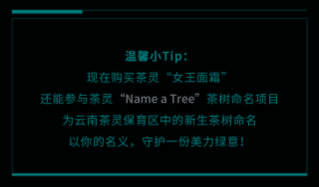 gogo置身茶林做SPA？随心挑选圣诞美礼？一站式美力空间全搞定！