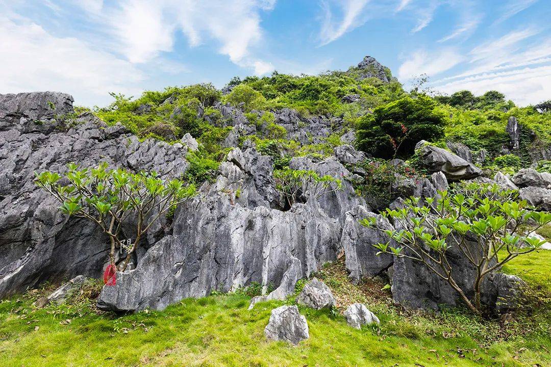 风景|广东“小桂林”有处石林，奇绝雄壮，20多部影视大片在这里取景