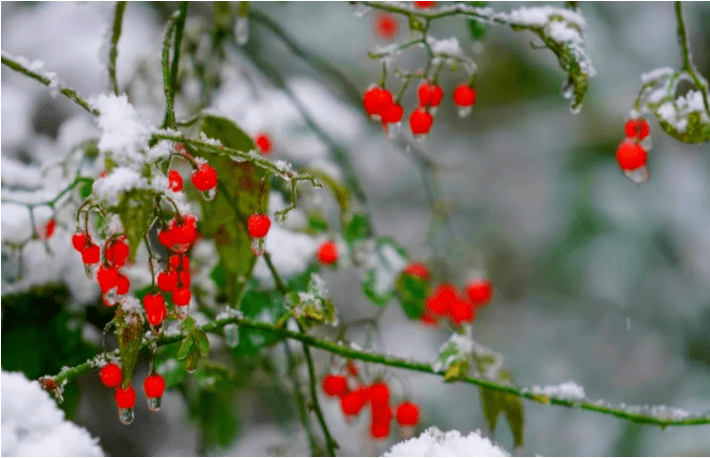晋网红 这个冬天，把眉山穿在身上，谁看谁心动~