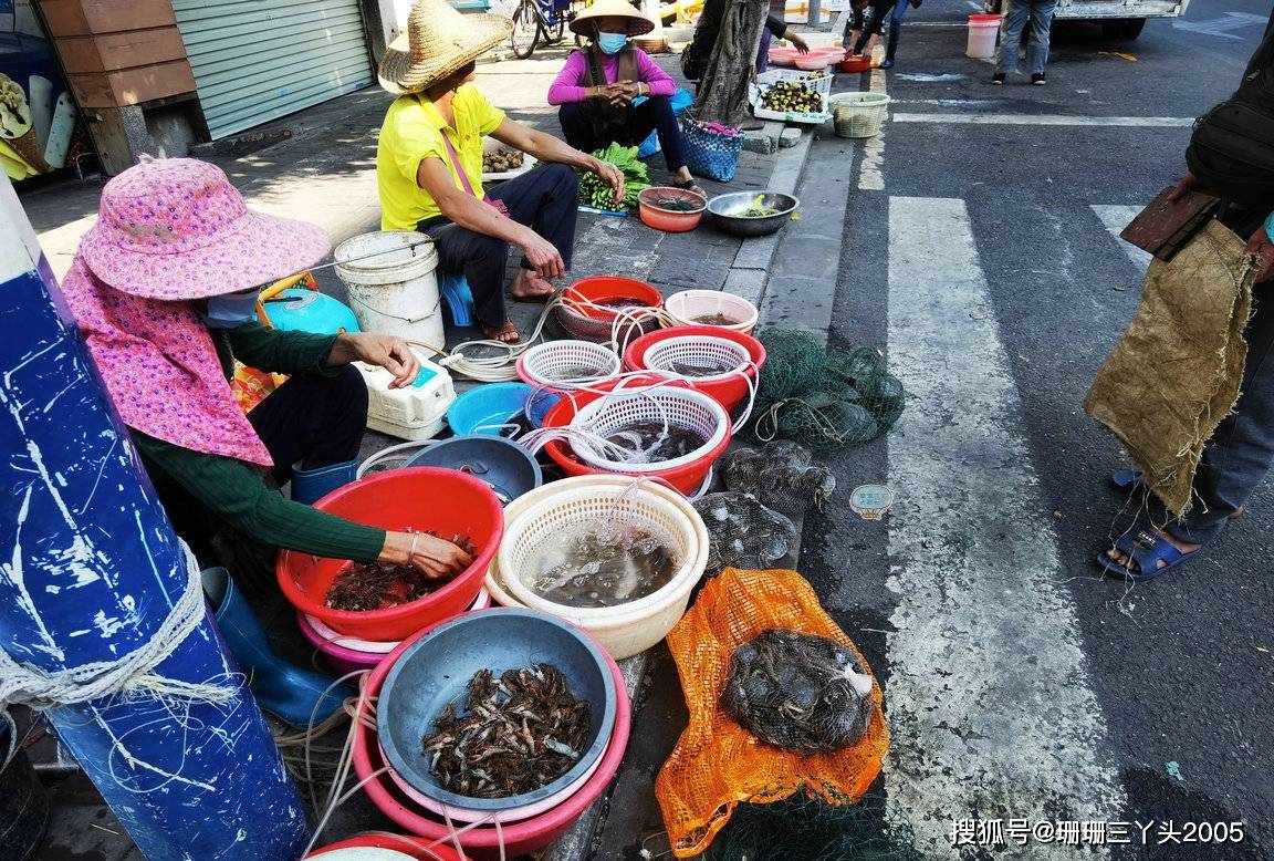 广州这个在国家级渔港内的“鱼墟”，天天有“鲜”食材，非常热闹