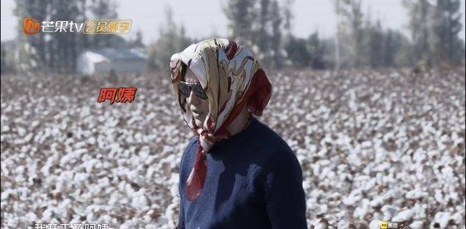 陈小春|张智霖上综艺大尴尬，叫一个比自己大5岁的人阿姨！