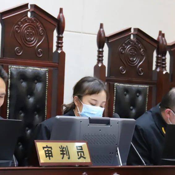 眉山这个21人的恶势力犯罪集团遭了_丹棱县_被告人_进行了
