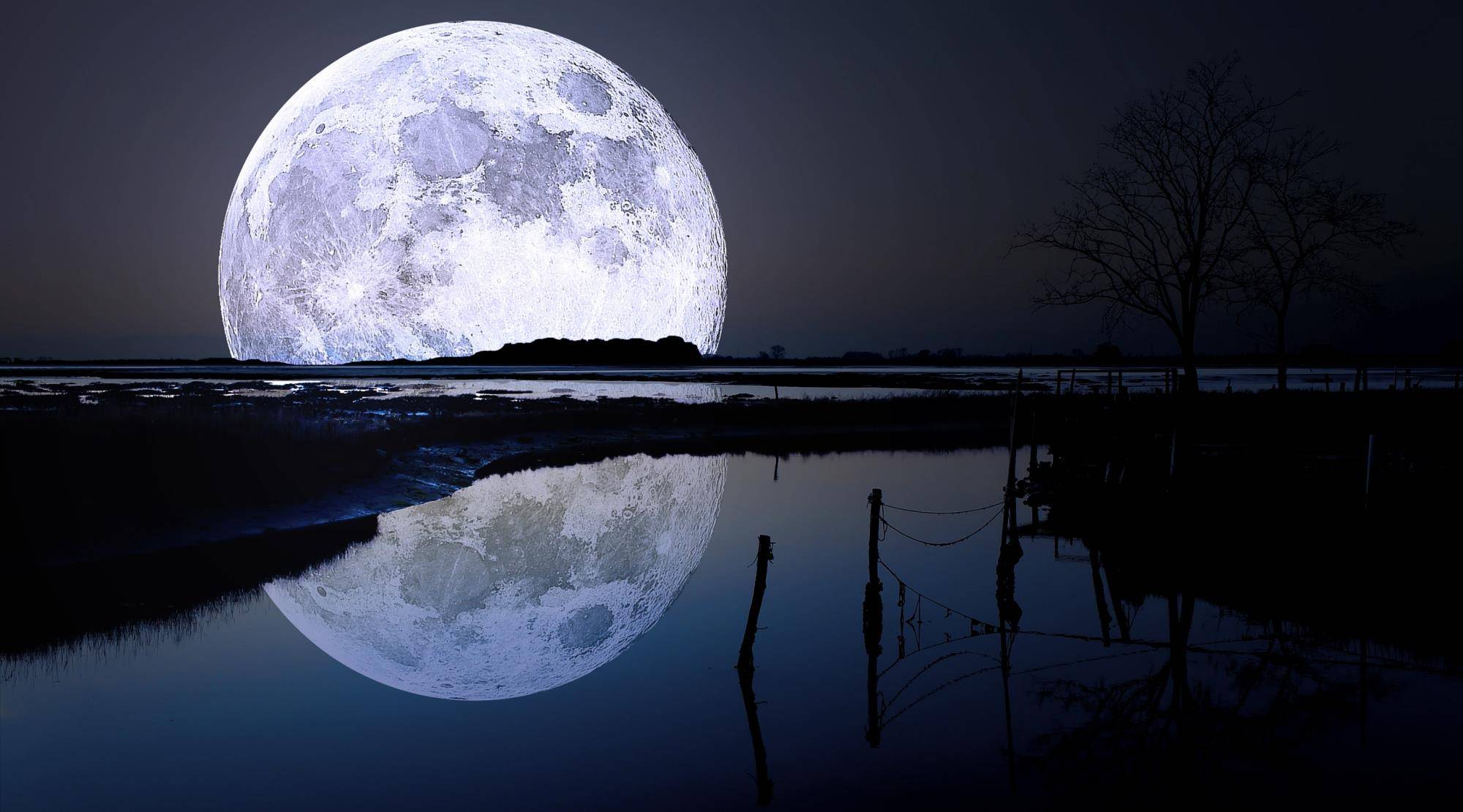 今晚月亮很美\x20下一句 今晚月色真美最佳答复